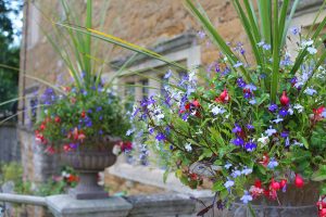 Amaranthyne Weddings - Flower Barn - Allington Manor